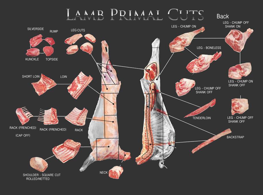Lamb primal cuts